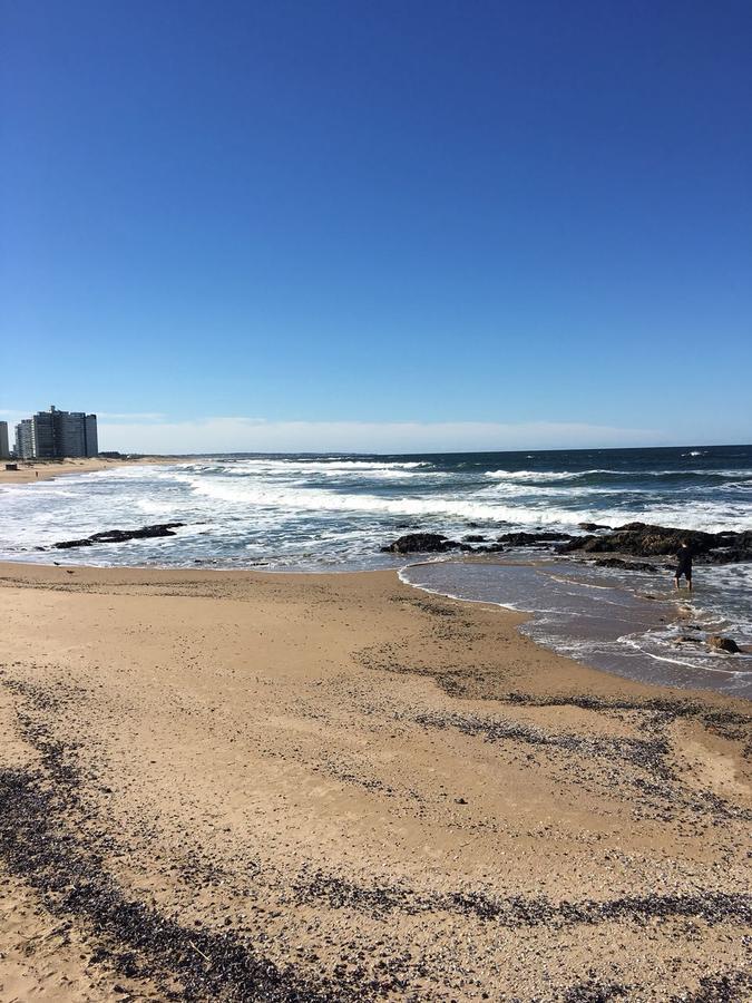 Departamento Vista Al Mar Lägenhet Punta del Este Exteriör bild